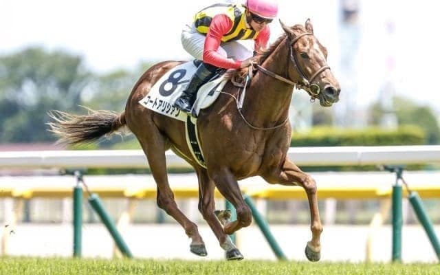 【新潟2歳S見どころ】初戦が圧巻だったコートアリシアンに注目