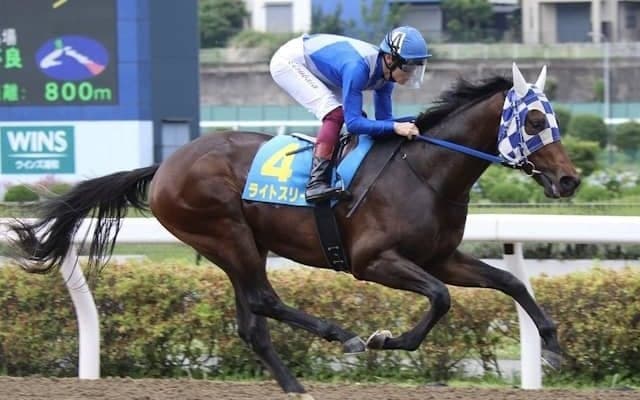 【浦和・ルーキーズサマーC枠順】連勝中の米国産馬ライトスリーは6枠6番
