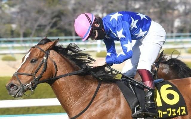 【先週のJRA抹消馬】芝で5勝を挙げたスカーフェイス、ポタジェやルージュバックの半妹にあたるプレミアムスマイルなど
