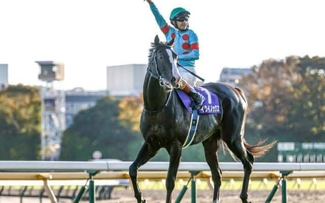 あなたが最も感動したレースは？ イクイノックスやハルウララまで…1000件以上の熱き思いの数々