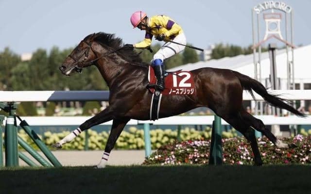 ノースブリッジが6歳で重賞3勝目 村田牧場の至宝・モガミヒメ一族は息の長い活躍馬を送り出す