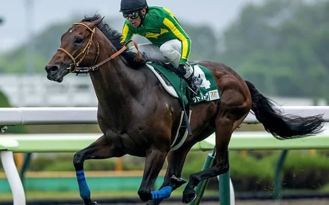 【キーンランドC想定騎手】サトノレーヴはD.レーン騎手、ナムラクレアは浜中俊騎手