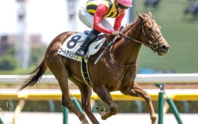 【新潟2歳S想定騎手】コートアリシアンは菅原明良騎手、シンフォーエバーは岩田康誠騎手