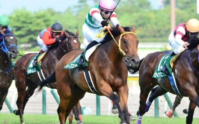 後のGI馬が魅せた上がり3F32.5秒の衝撃 最後方から一気に抜き去った13年の新潟2歳S