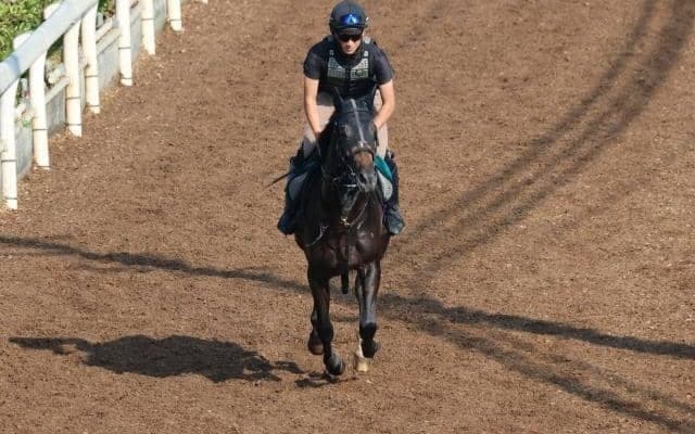 アドマイヤパンドラの2022(ロックエンジェル)など、先週のゲート試験/栗東トレセンニュース