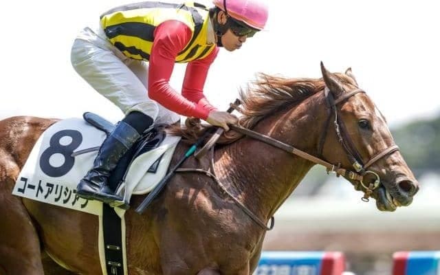 【新潟2歳S予想オッズ】コートアリシアンが予想1番人気