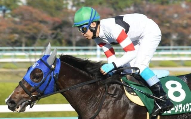 【小倉SJ予想オッズ】ホッコーメヴィウスが予想1番人気