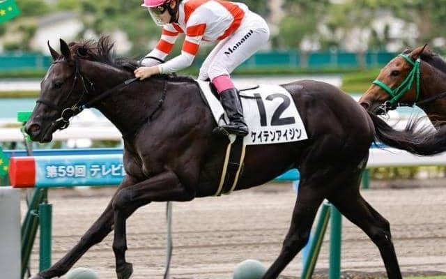 史上初の九州産馬Vへ 新潟2歳Sで“チーム・ヨカヨカ”が再び重賞制覇に挑む