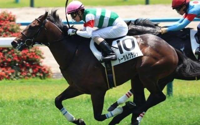 凱旋門賞馬の父に3年ぶりの重賞タイトルを届けるか 新潟2歳Sにバゴ産駒参戦