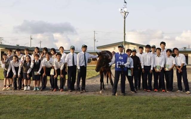 サマーセールで静内農業高校の生産馬2頭が計390万円で落札 「せっかく生まれてきた命、思う存分楽しんでほしい」