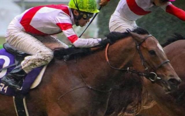 昨年“5億円レース”勝利の実績馬 武豊騎手とキーンランドCで1年3か月ぶりの国内出走へ