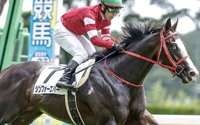 シンエンペラー＆フォーエバーヤングに続け ウマ娘・藤田晋オーナーの愛馬が新潟2歳Sで重賞初制覇狙う