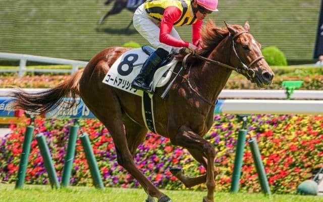 新種牡馬サートゥルナーリア産駒の重賞初Vへ 2頭の娘たちが新潟2歳Sでタイトルを届けるか