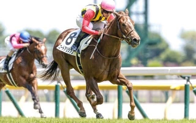 【新潟2歳S予想】AIが推奨する人気の一頭に逆風データ？ 臨戦過程と馬格がカギとなる2歳重賞