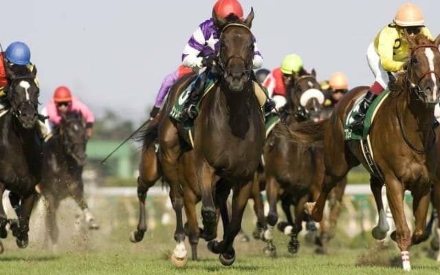 新潟2歳Sで2度記録“直線だけで全頭ごぼう抜き” 芝で4角18番手、ダートで4角16番手から重賞Vの馬は？ 