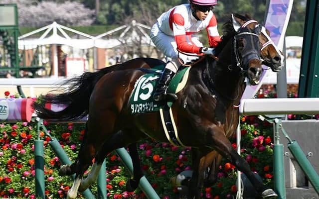キーンランドC史上初の3歳牡馬Vなるか 世代屈指の超良血馬が挑む