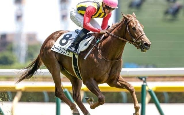 【新潟2歳S出走馬・騎手確定】コートアリシアン＆菅原明良騎手、シンフォーエバー＆岩田康誠騎手など11頭