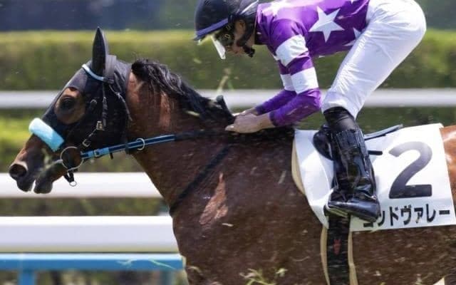 福岡ソフトバンクホークス・柳田悠岐選手の所有馬ゴッドヴァレー オーナーに待望の初勝利を届ける