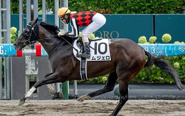 ダートで覚醒の2億円ハーツクライ産駒 「三度目の正直」で待望の3勝目なるか