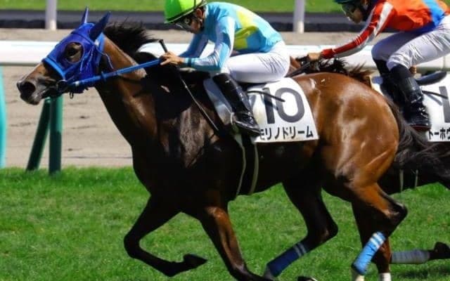 洋芝で5戦全勝の「北の申し子」 キーンランドCで重賞初制覇へ