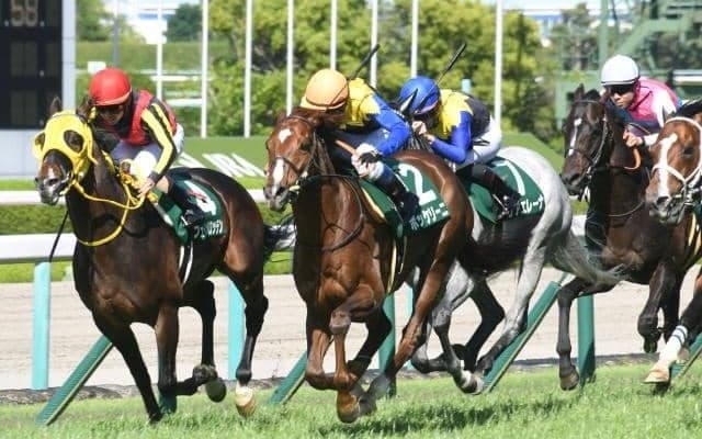 大社高校が107年前に2勝を挙げた“場所”とは 競馬場と夏の高校野球に意外なつながり