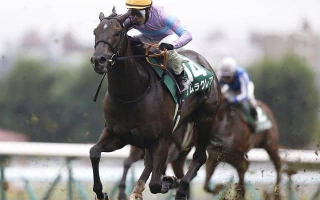 【キーンランドC枠順確定】ナムラクレアは1枠2番、サトノレーヴは5枠10番