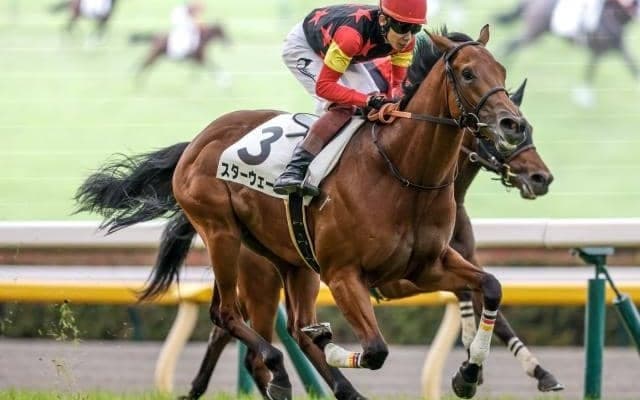 【新潟2歳S枠順確定】スターウェーブは3枠3番、コートアリシアンは6枠6番