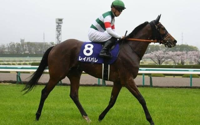 半姉は大阪杯覇者レイパパレ 友道厩舎の良血シュヴァルグラン産駒がデビュー