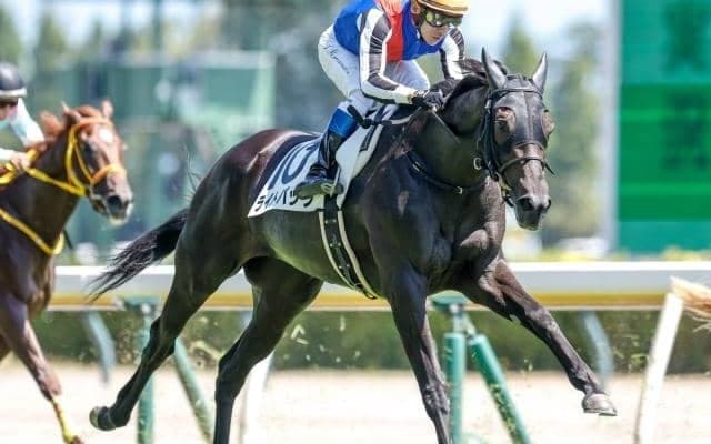 【新潟記念想定馬・騎手】ライトバック、キングズパレスなど13頭
