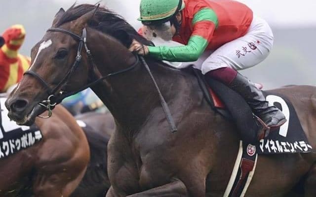 札幌芝はゴールドシップ産駒の天下 マイネルエンペラー＆武豊騎手の差し切りだ
