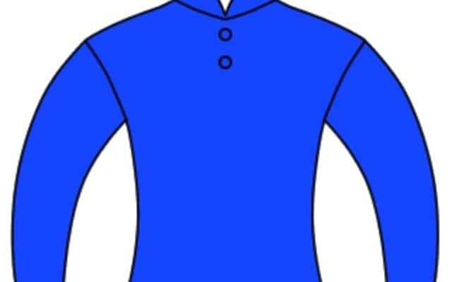 海外にもPOGがある!? 賞金約19万円＆公式グッズをかけた戦い「ゴドルフィンファンタジーステーブルリーグ」が24日スタート