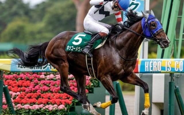 【今日の注目ポイント】中京で小倉SJと札幌ではWASJが開幕