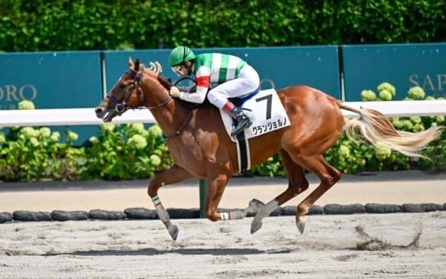 【札幌5R新馬戦結果】ゴールドドリーム産駒グランジョルノが差し切り勝ち