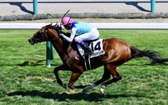 【札幌6R】武豊アドマイヤアストラが初勝利…モレイラはスタートで落馬