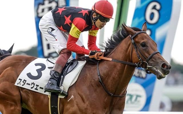 【新潟2歳S予想】前走1600m組がポイント キャリアの浅い2歳戦は前走での経験が明暗を分ける