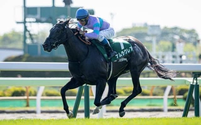 【キーンランドC前日オッズ】ナムラクレアが2.5倍で1番人気