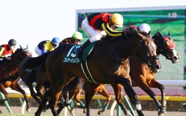 プレサージュリフトの競走馬登録抹消