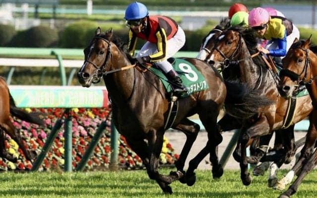 インダストリアの競走馬登録抹消