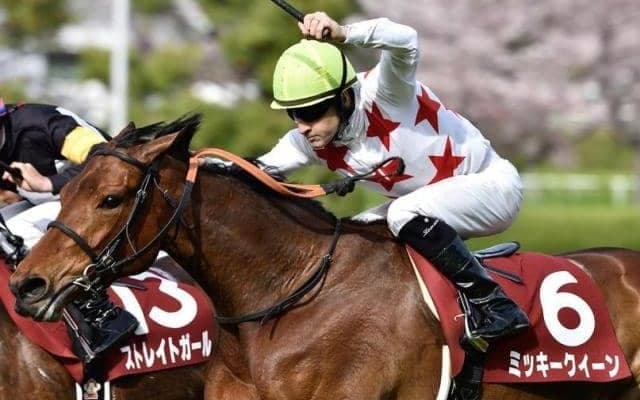 母はGI・2勝のミッキークイーン 超良血ミッキーマドンナがモレイラ騎手でデビューVなるか
