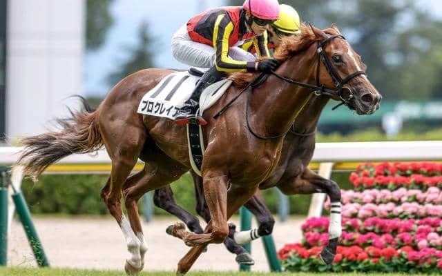 【新潟2歳S予想】世代最初のマイル重賞 未来のスターホースに近づくのは？