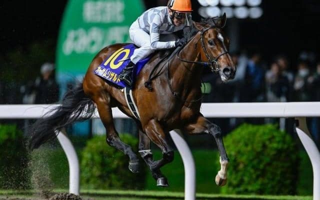 【門別・ブリーダーズゴールドC枠順】無傷6連勝中オーサムリザルトは8枠11番