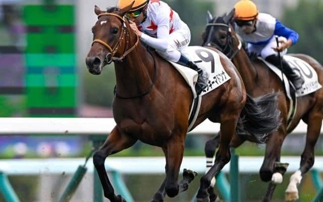 【札幌5R新馬戦結果】母ミッキークイーンの良血馬ミッキーマドンナが初陣飾る