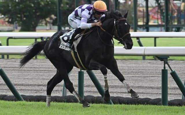 【中京5R新馬戦結果】サートゥルナーリア産駒クラウディアイが内から抜け出しV