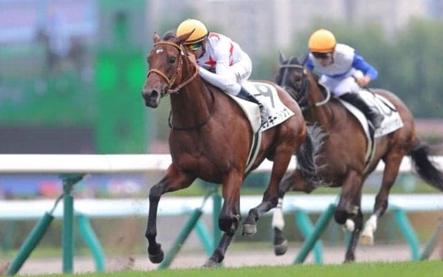 【新馬/札幌5R】良血ミッキーマドンナが人気に応える