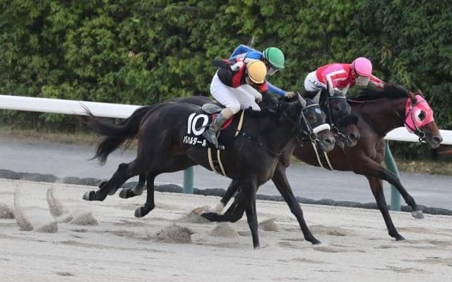 【名鉄杯結果】バハルダールが激戦を制しオープン初勝利