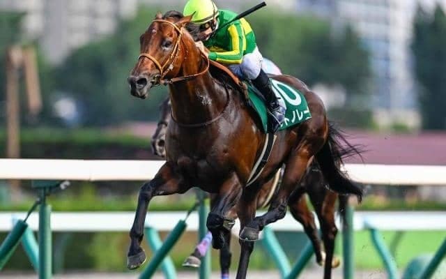 【キーンランドC結果】サトノレーヴが抜け出し重賞連勝！ いざGIへ