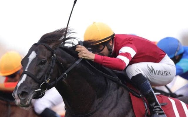 【WASJ・第4戦】大混戦のゴール前！モレイラがゴール寸前で差し切る