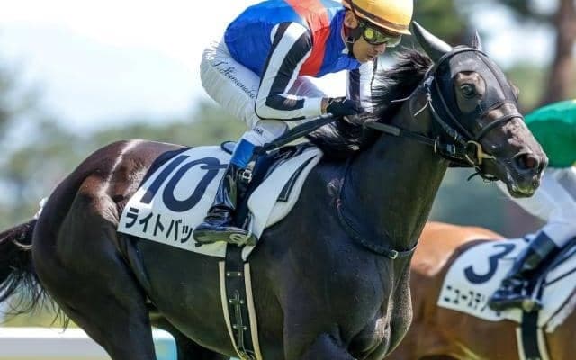 新潟記念と札幌・小倉2歳S/今週の競馬界の見どころ