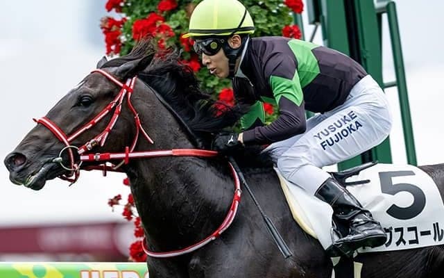 【札幌2歳S想定騎手】キングスコールは藤岡佑介騎手、アスクシュタインは北村友一騎手