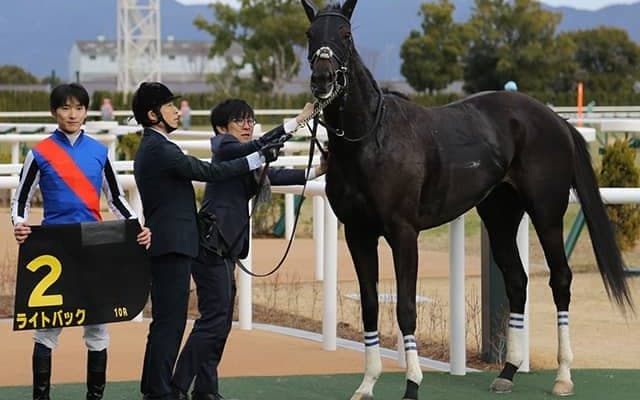 【新潟記念想定騎手】ライトバックは坂井瑠星騎手、レッドラディエンスは戸崎圭太騎手